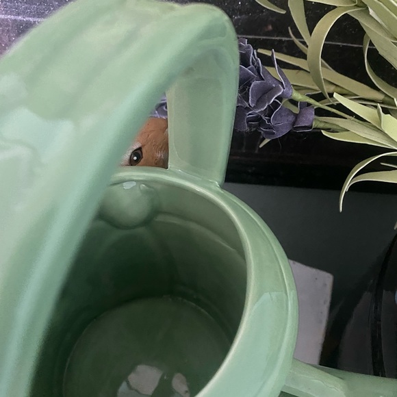 Just in time for Easter! Vintage2007 Beatrix Potter Telafloral vase 16Years Old! - Picture 4 of 6